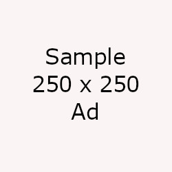 Sample 250 x 250 Ad